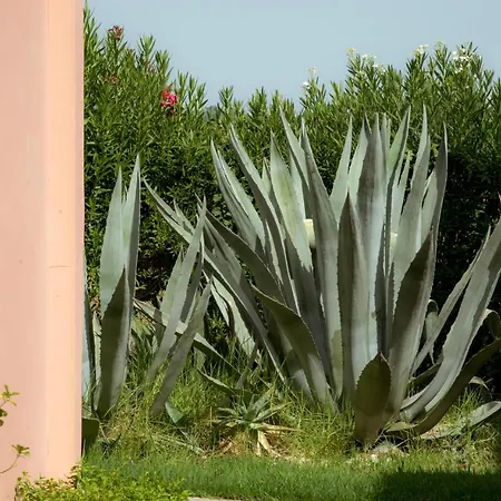 Otel Ecoresort Zefyros 3*