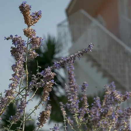 Otel Ecoresort Zefyros Áyios Kírikos
